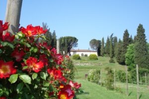 Persolino