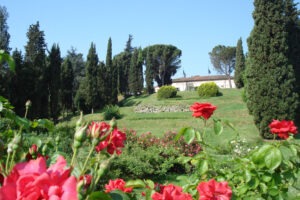 Persolino-roseto