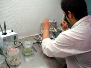 laboratorio-micro
